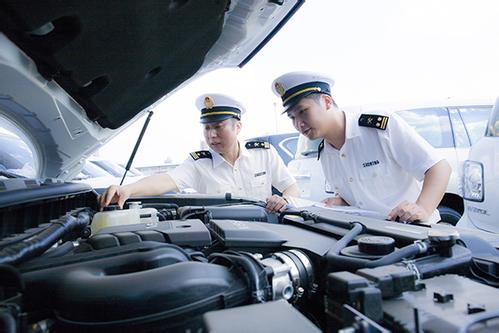 Temporary vehicle import and export