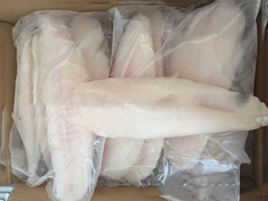 Vietnam Frozen Basa Fish Import Customs Declaration