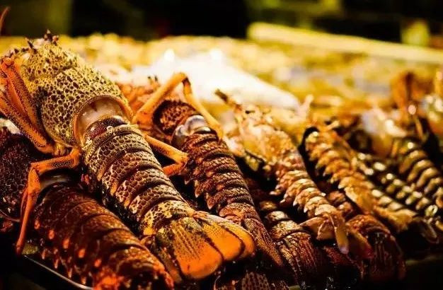 Canadian import Boston lobster customs declaration