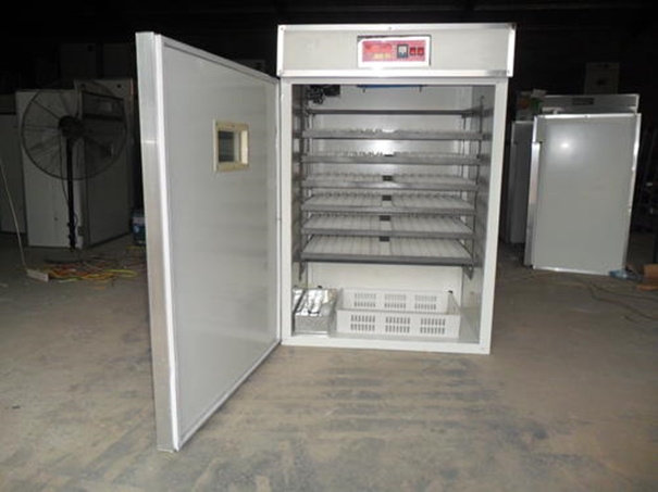 Shenzhen Bird Product Incubation Instrument and Equipment Import Customs Declaration Agent
