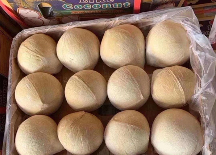 Customs declaration of imported fresh coconut