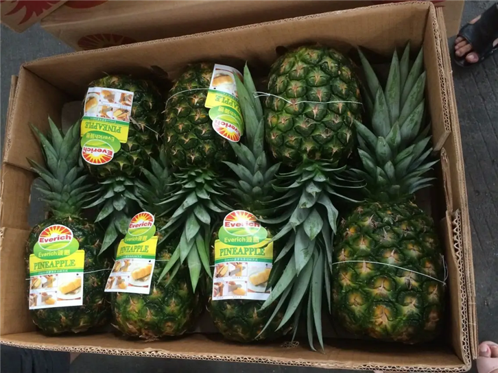 Pineapple import customs clearance