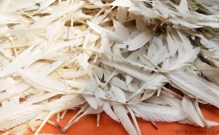 Clean white duck feather import declaration