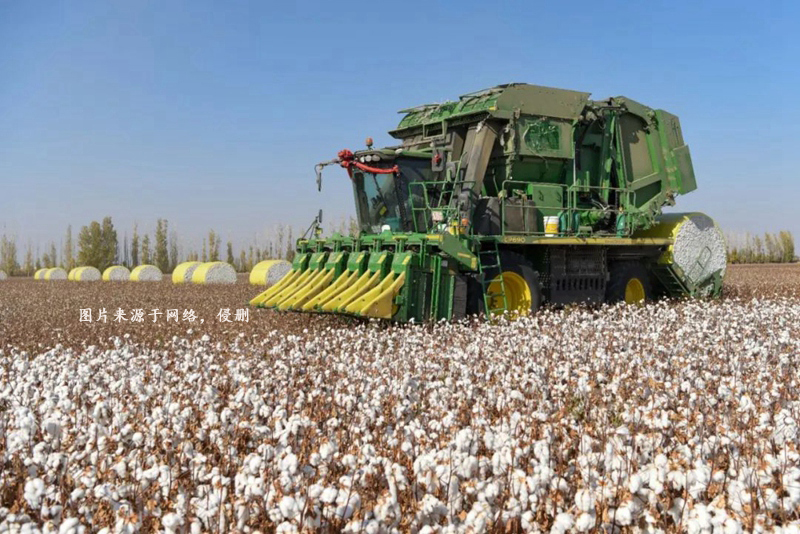 Customs declaration process for imported cotton picker accessories from the United States