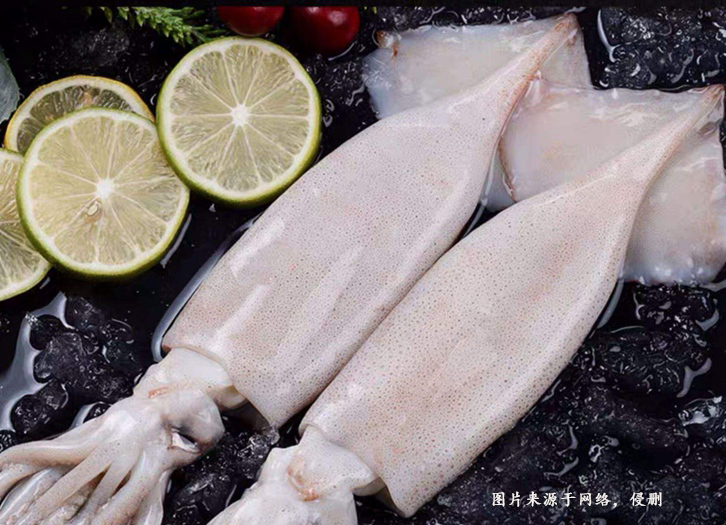 Customs declaration documents for imported Pakistani squid