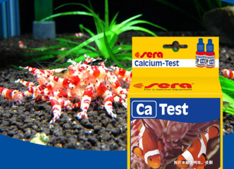 Customs clearance process for imported Dutch water quality testing agents