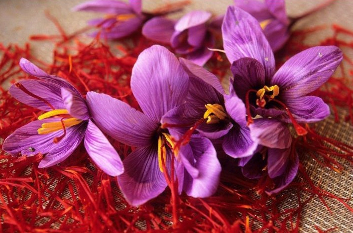 Iran Saffron Import Customs Clearance Process