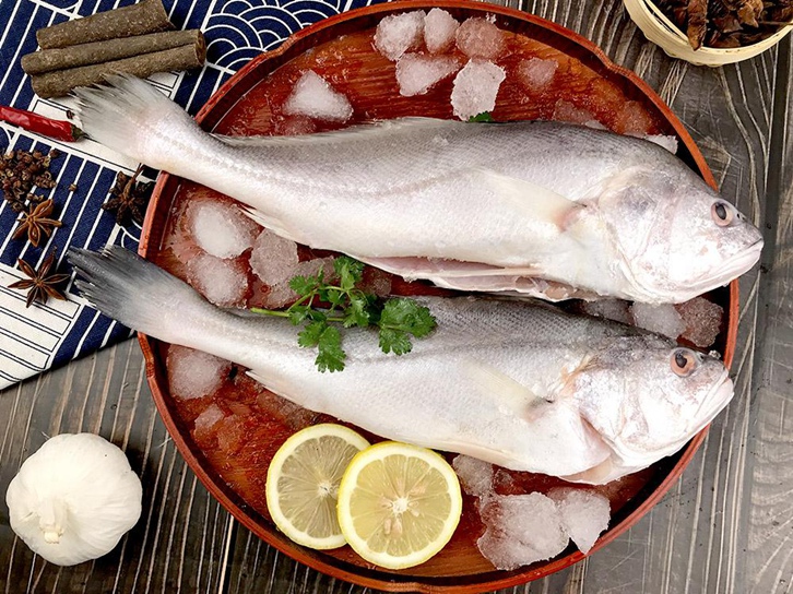 Customs clearance process for imported frozen fish in Guangzhou