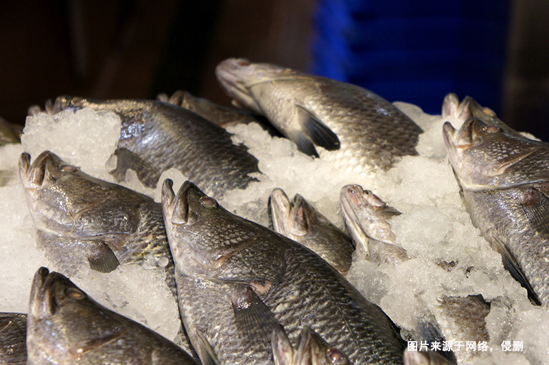 Guangzhou Perch Import Customs Declaration Process