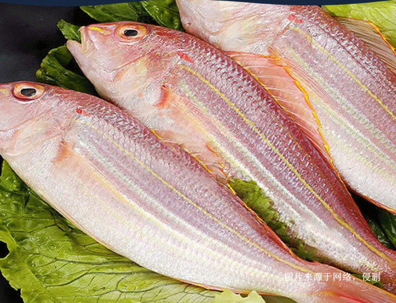 Customs declaration process for the import of frozen golden thread fish in Vietnam
