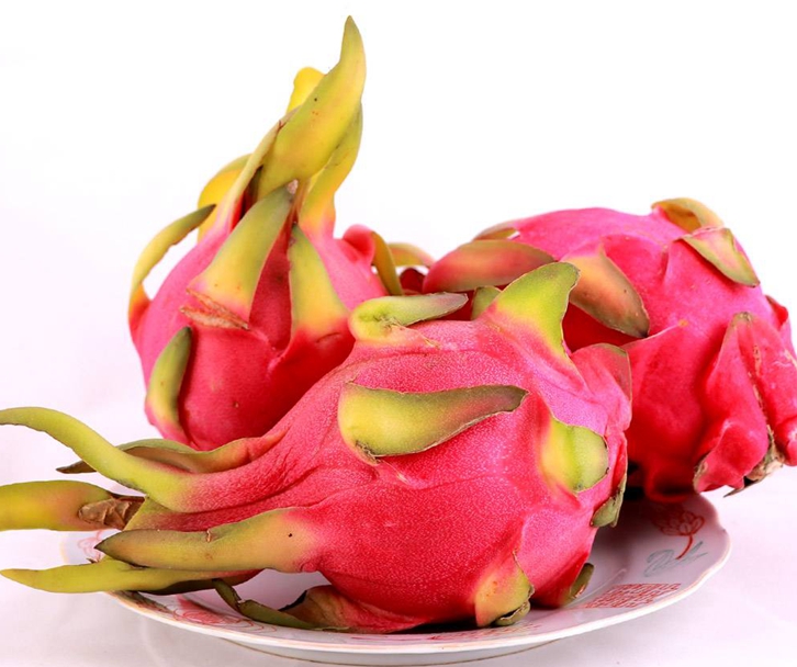 Vietnam Dragon Fruit Import Customs Declaration Process