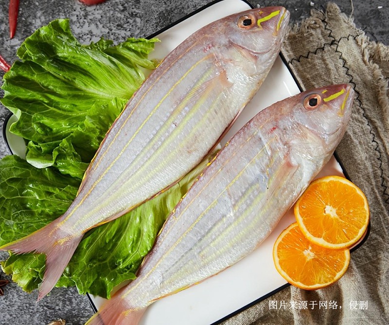 Customs declaration process for imported Vietnamese goldthread fish from Shanghai