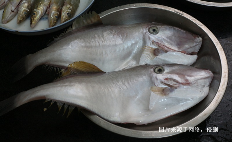 Malaysian frozen fish import customs declaration fees