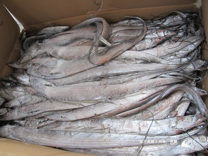 Customs declaration documents for imported frozen hairtail in Qingdao