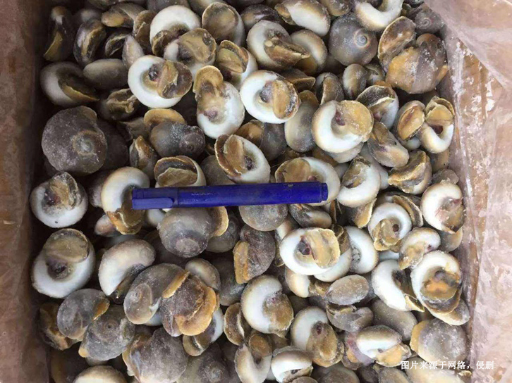 Customs declaration documents for imported Indian aquatic products from Nansha Port, Guangzhou