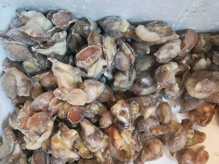 Customs declaration of imported frozen aquatic products from the UK at Nansha Port in Guangzhou