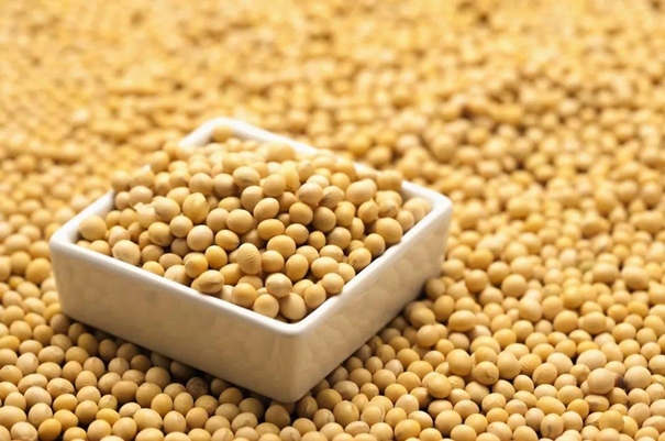 大豆进口报关资质以及资料看这了解_副本.jpg