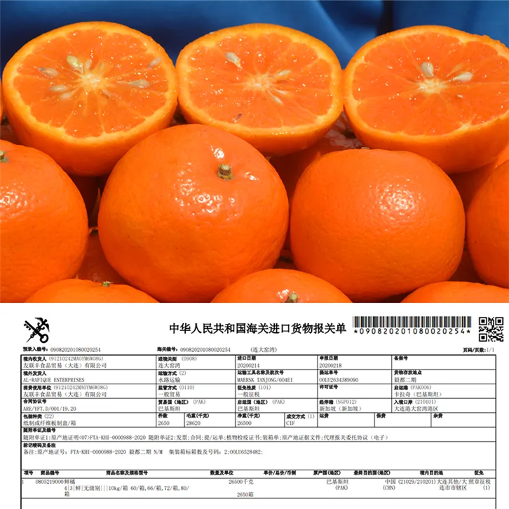 进口巴基斯坦柑橘报关公司 (2).png