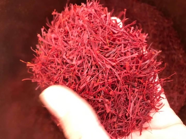 伊朗藏红花进口清关
